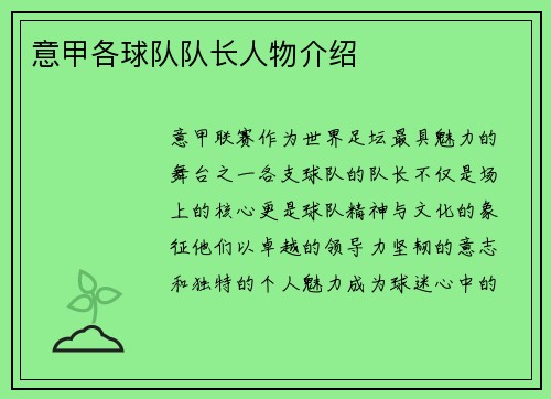 意甲各球队队长人物介绍